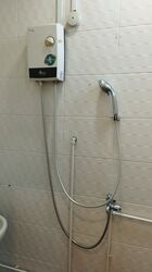 Elizabeth Tower (D9), Apartment #585520951